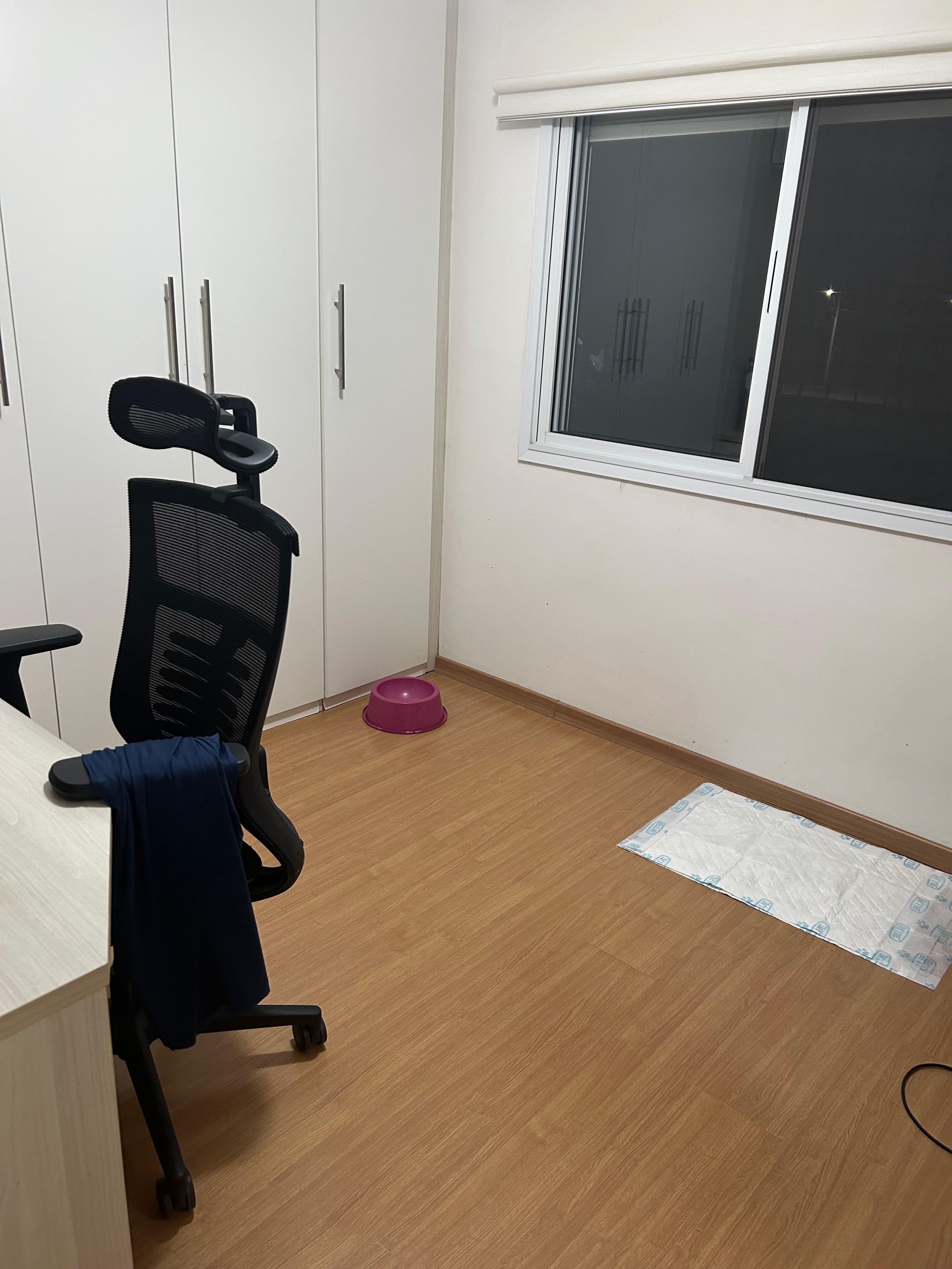 Foto 4 da galeria